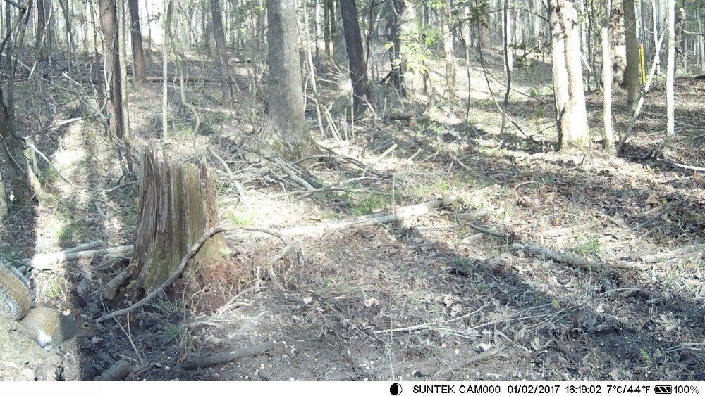 20MP 1080P Hunting Trail Camera Wildlife Tracking Surveillance HC804A Infrared Night Vision Wild Cameras Photo Traps