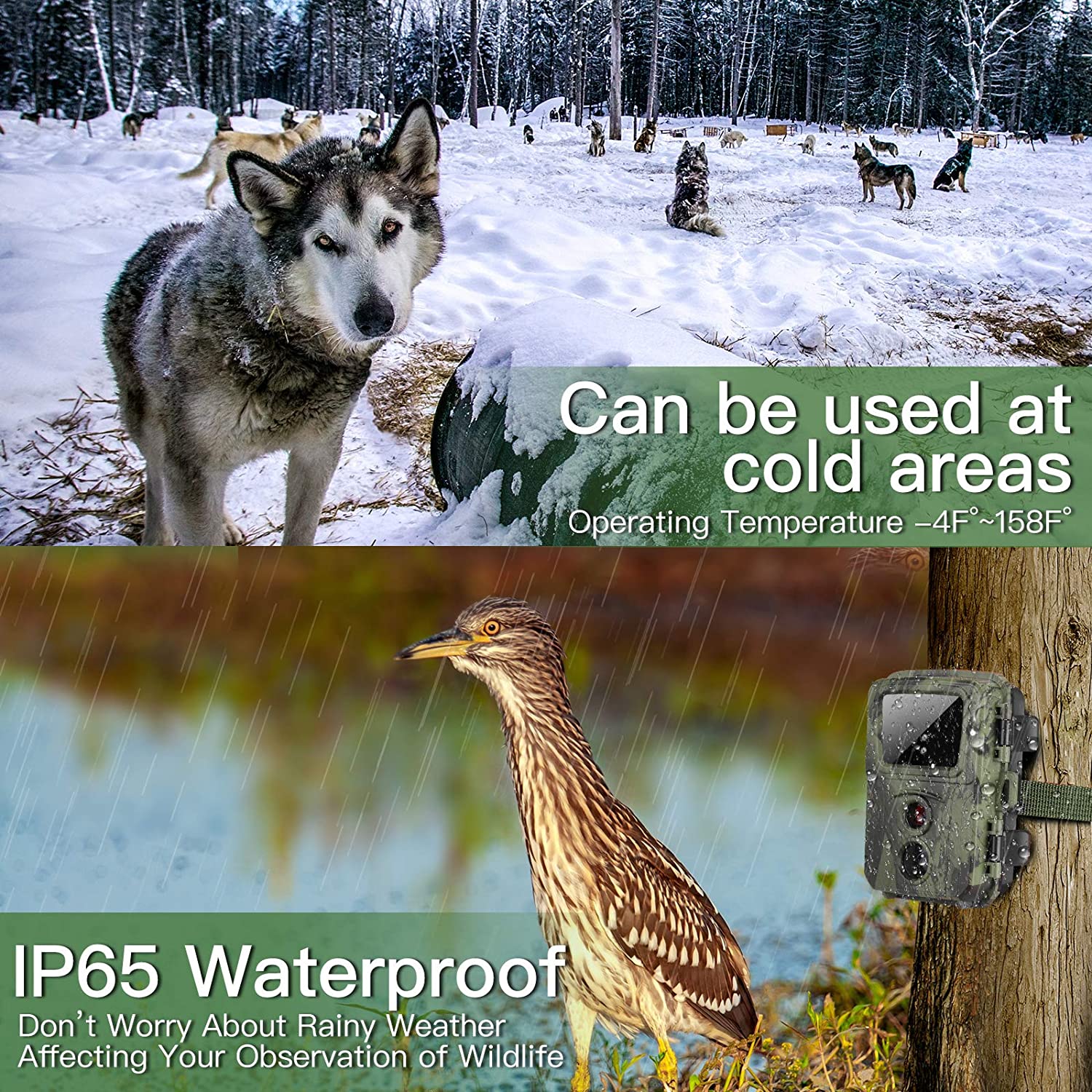 20MP Mini Trail Hunting Camera  Wildlife Hunter Cameras  Mini600 1080P Forest Animal Cam Photo Trap Surveillance Tracking