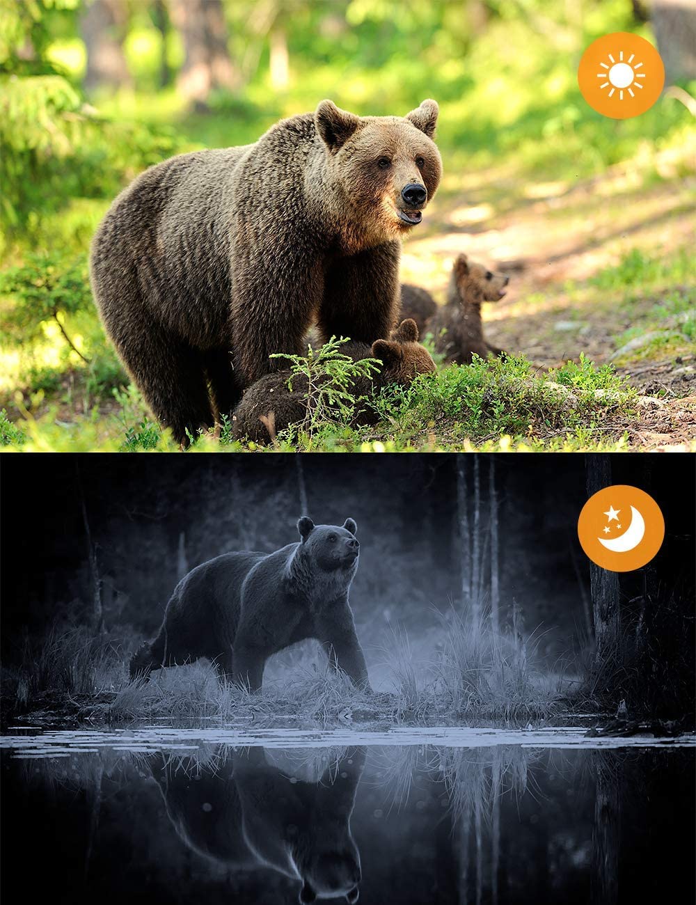 Live Show Trail Camera Wifi APP Bluetooth Control Live Stream Hunting Cameras WiFi830 24MP 1296P Night Vision Photo Traps