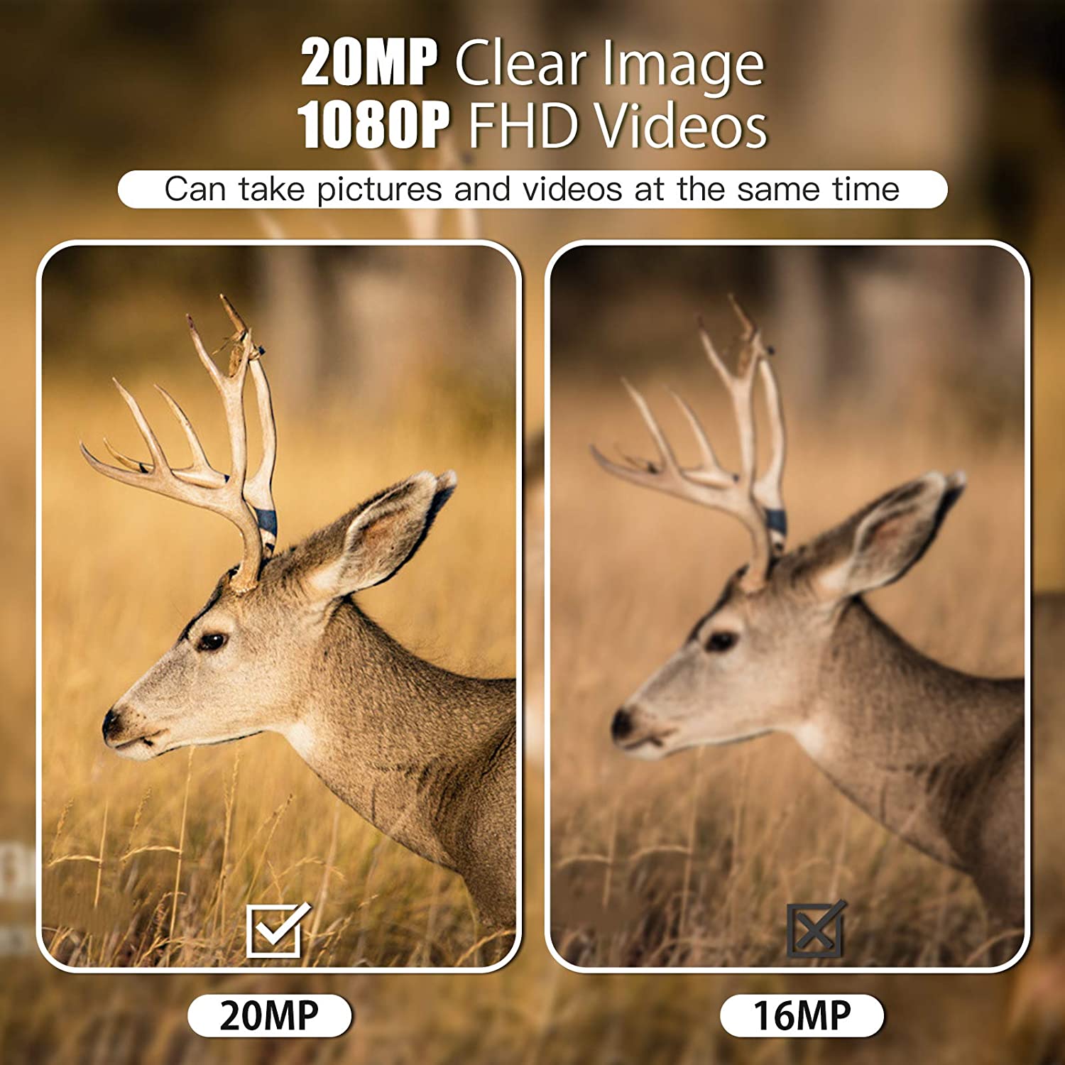 20MP Mini Trail Hunting Camera  Wildlife Hunter Cameras  Mini600 1080P Forest Animal Cam Photo Trap Surveillance Tracking