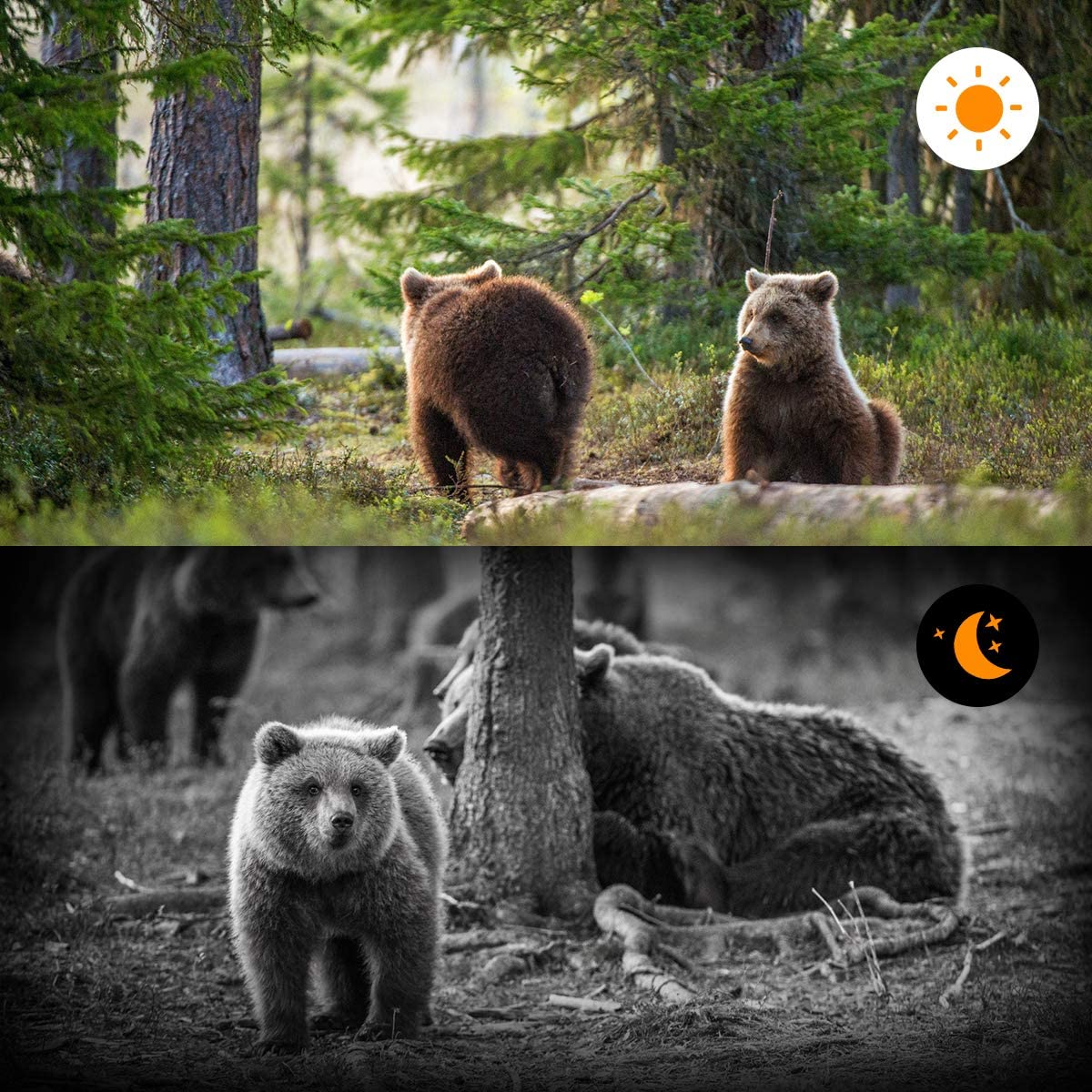 Wildlife Trail Camera Photo Traps Infrared 24MP 2.7K  Waterproof Hunting Cameras HC802A Wildlife Wireless Surveillance