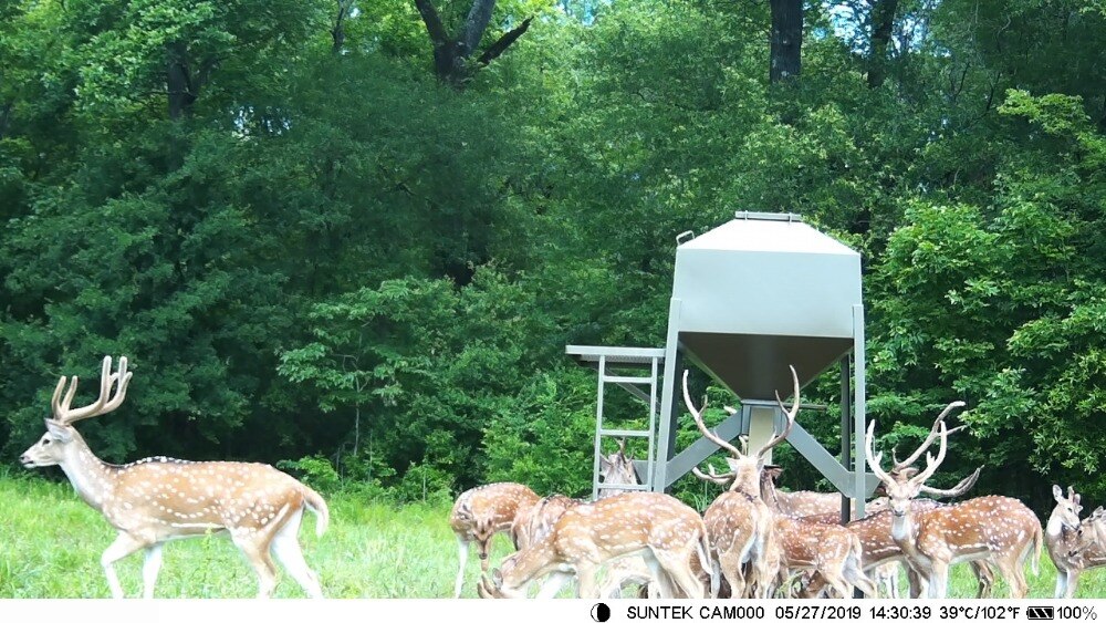 Hunting Trail Wild Camera HC300A Photo Trap Wildlife Wireless Cameras IR LED Night Vision Infrared Cams Surveillance