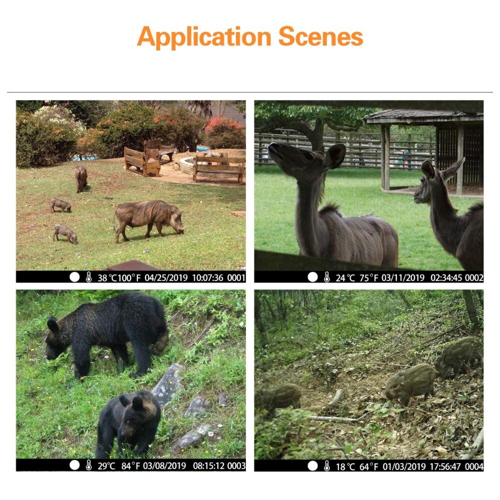 36MP 2.7K Wildlife Trail Camera Photo Traps 940nm Low Glow Night Vision Wireless Hunting Cameras HC900A Tracking Surveillance