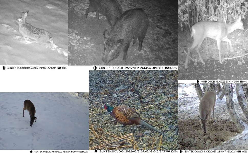 4K 30fps Video  APP Trail Camera Cloud Service 4G 30MP Live Stream Media Wild Hunting Cameras Night Vision PhotoTraps HC910PRO