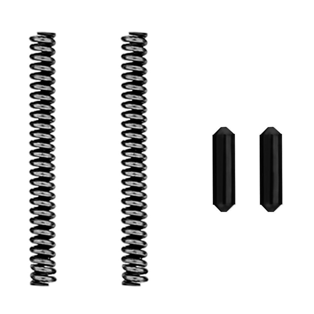 10 sets Stainless Steel Takedown/Pivot Pin Detents with Springs .223 5.56