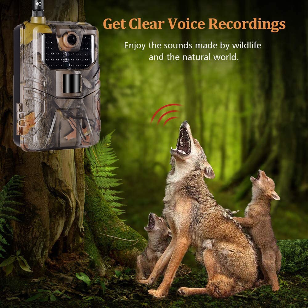 4K/2K Live Video APP Trail Camera Cloud Service 4G Cellular 30MP Live Stream Media Hunting Cameras Night Vision HC900PRO