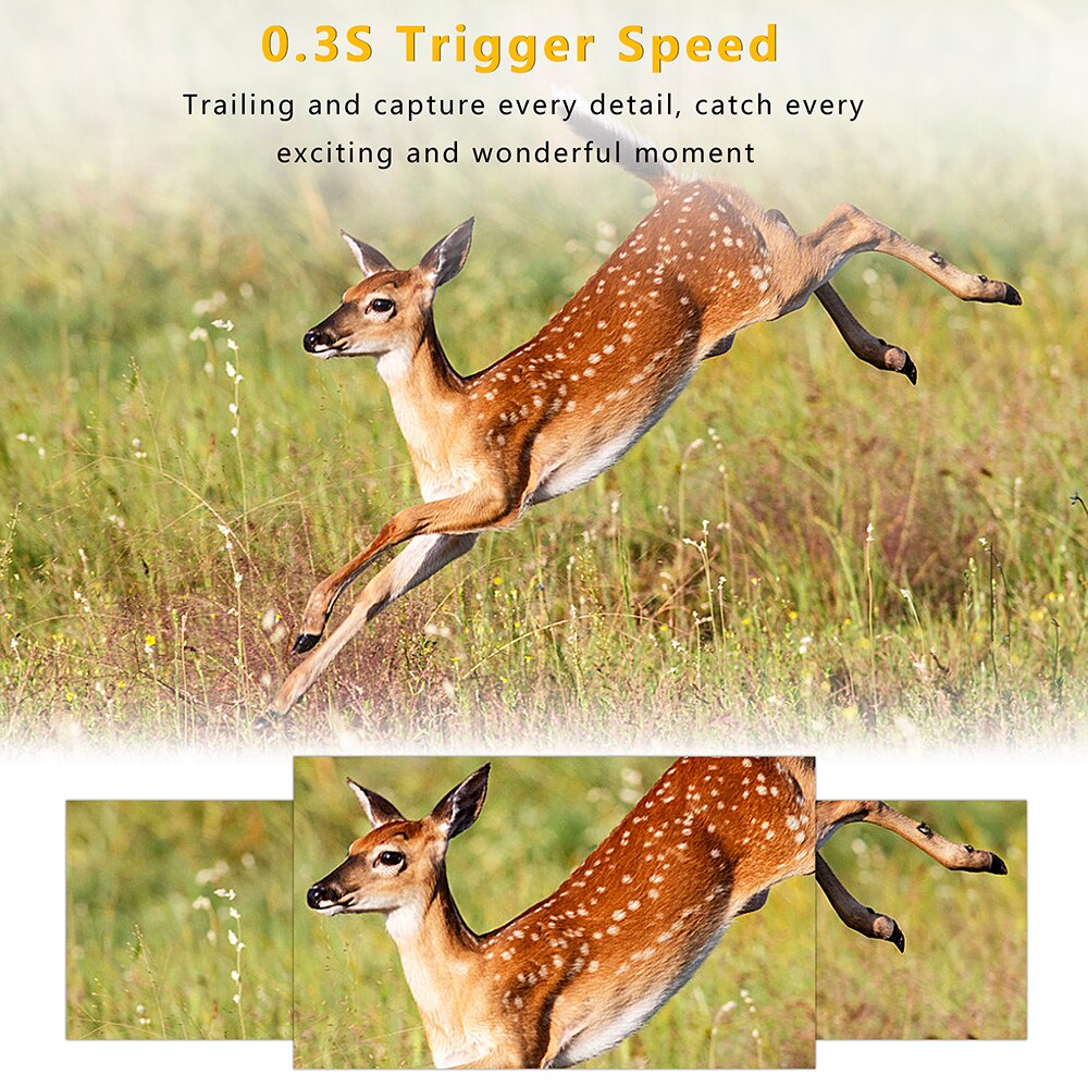 2704P 24MP Hunting Trail Camera Wildlife Night Vision Outdoor HC804A Wild Wireless Cameras Tracking Surveillance Cam Photo Traps