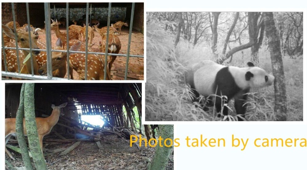 4PCS/LOT Hunting Trail Camera  850NM 12MP 1080P Animal Tracking Cameras Photo Traps Wild Surveillance HT001B