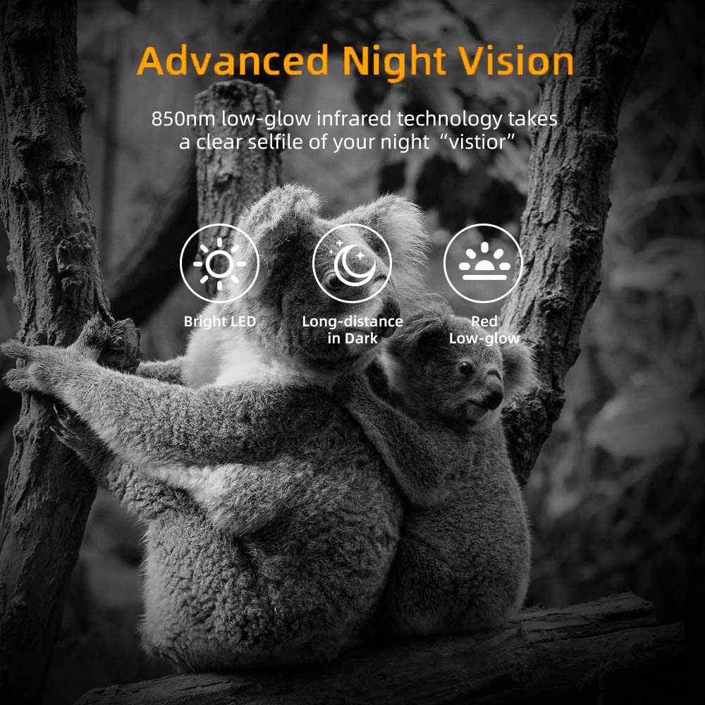 2PCS/1Lot  Wildlife Trail Camera 1080P 20MP Hunting Outdoor Cameras Scouting Surveillance Mini301 Night Vision Photo Traps Cam