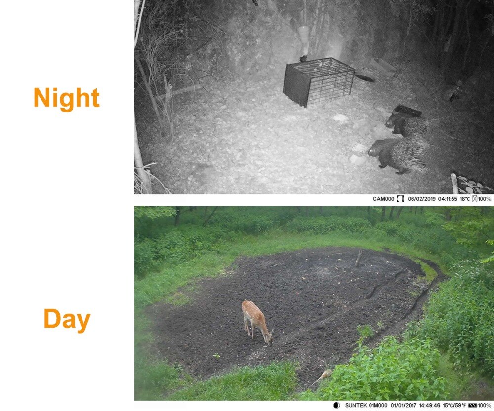 Wildlife Trail Camera Photo Traps Infrared 24MP 2.7K  Waterproof Hunting Cameras HC802A Wildlife Wireless Surveillance