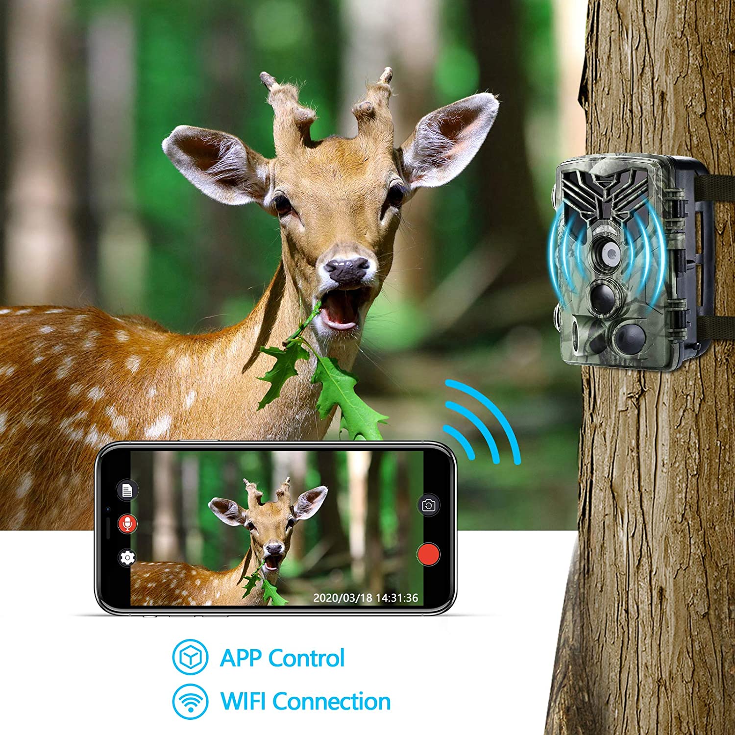 Live Show Trail Camera Wifi APP Bluetooth Control Live Stream Hunting Cameras WiFi830 24MP 1296P Night Vision Photo Traps